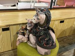-喵匠猫主题咖啡(凯德和平广场店)
