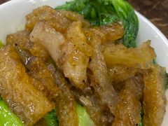 猪皮生菜-陈光记烧腊店(罗保博士街店)