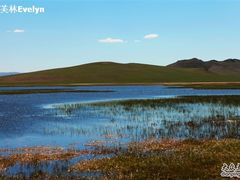 -塞罕坝国家级自然保护区