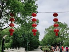 -溱湖国家湿地公园