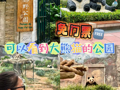 -石排湾郊野公园