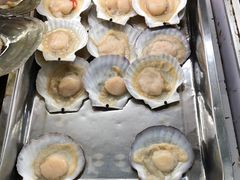 扇贝-百盛烧烤龙虾小酒馆(文富北路店)