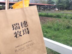 -瑞穗牧场