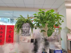 -双季花艺园艺市场(浦东店)