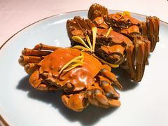母蟹-蟹榭·本帮江浙菜·蟹宴(五角场合生汇商场店)
