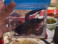 -不炭白烧烤(成都首店)