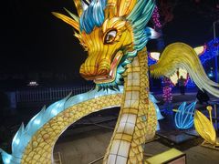 -曹州牡丹园
