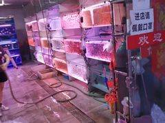 -中环花鸟鱼虫市场