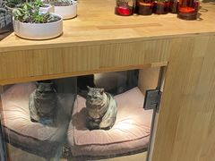 -有才叔的小馆(招商依云曲江店)