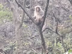 -黔灵山公园