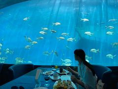 -瑞德姆美人鱼海底演艺主题餐厅(亚龙湾店)