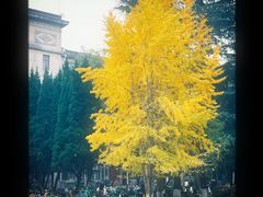 -四川大学(望江校区)