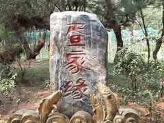 -北海金海湾红树林生态旅游区