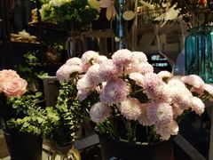 -田园花舍花店(北城未来实体店)