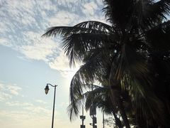 -深圳湾公园(南山区)