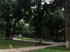 -重庆市江北嘴中央商务区中央公园