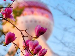 -东方明珠广播电视塔