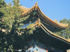 -北京国子监胡同