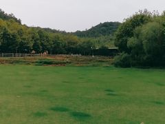 -裸心谷·裸心味餐厅