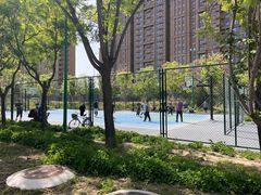 -坝河休闲公园