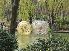 -大宁郁金香公园-停车场