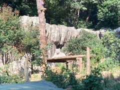 -红山森林动物园