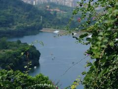 -水濂山森林公园