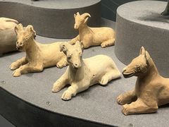 -广西壮族自治区博物馆