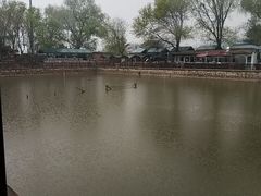 -尚庄度假村·庭台树下·户外烧烤·团建CS·轰趴营地(上庄水库店)