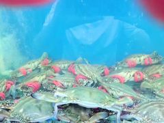 -台州卡金海鲜楼(上南路店)