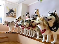 -Husky Go! 哈士奇体验馆·宠物咖啡厅狗咖