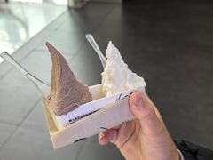 -野人先生现做冰淇淋(北京顺义祥云小镇店)