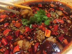 麻辣馋嘴蛙-茅庐毛血旺(烟台大悦城店)