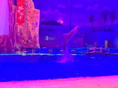 -华夏文旅海洋公园