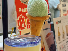 -野人先生现做冰淇淋(北京悠唐购物中心店)