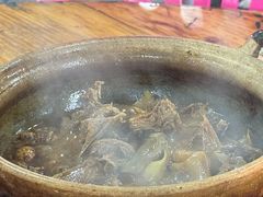 -霞姐屯昌枫木香草鸭店(海螺店)