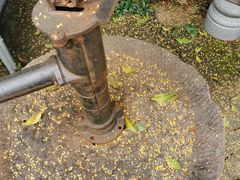 -自在弥林花园餐厅(云栖店)