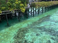 -卡帕莱度假村(西巴丹岛)