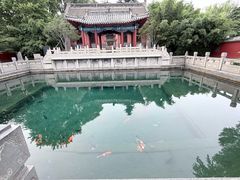 -百脉泉景区