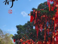 -国恩寺