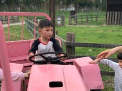 -田园东方蜜桃村的田野营地