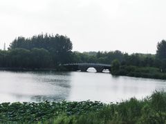 -大兴滨河森林公园