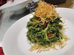 巧拌豆苗-四季民福烤鸭店(前门店)
