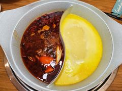 -青瓷火锅料理(西单大悦城店)