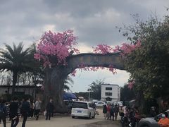 -天适樱花悠乐园