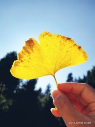 -中国科学院昆明植物研究所植物医生研发中心产品体验馆