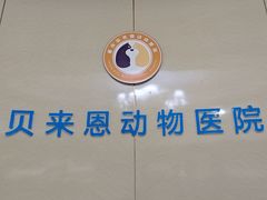-贝来恩24H动物医院·转诊中心(稻香路店)