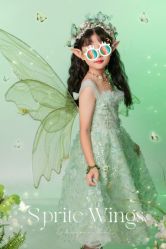 -婴爱儿童摄影 BabyloveStudio(中山门店)