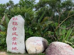 -广东惠东海龟国家级自然保护区