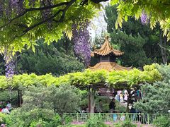 -嘉定紫藤园